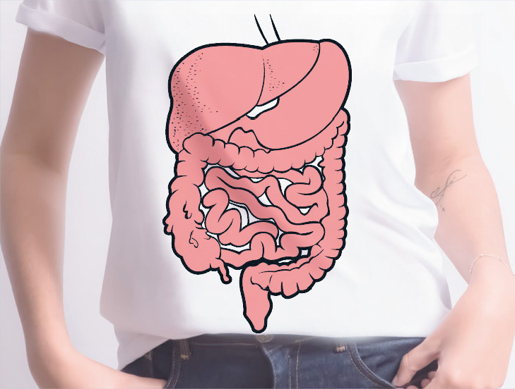 cirurgia-do-aparelho-digestivo "Especialista em cirurgias"